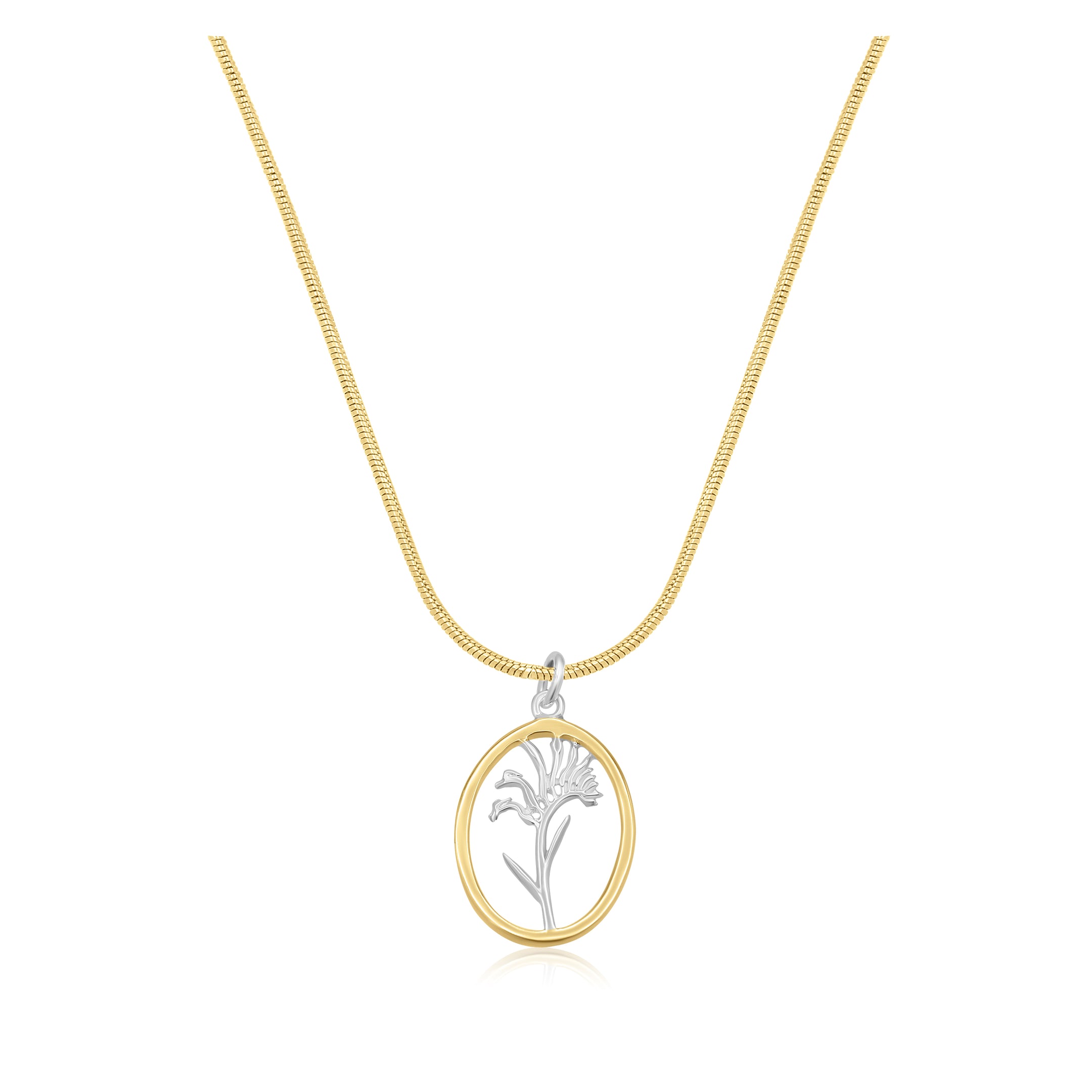 Kangaroo Paw Gold Rim Oval Necklace