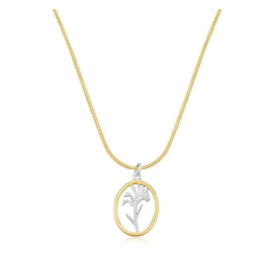 Kangaroo Paw Gold Rim Oval Necklace WHOLESALE