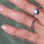 Luna Ring WHOLESALE