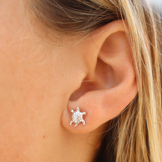 Sea Turtle Stud WHOLESALE