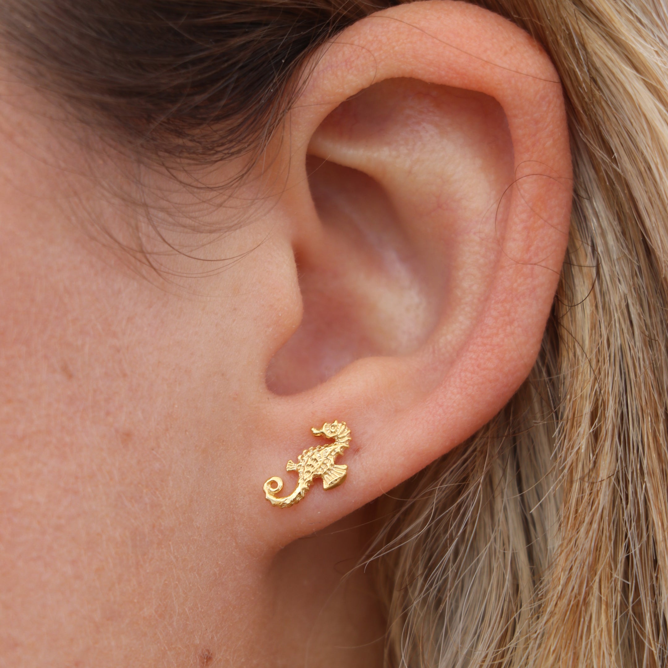 Seahorse Gold Stud WHOLESALE