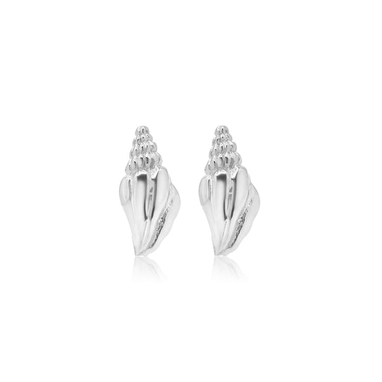 Seashell Studs Silver