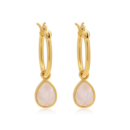 Tallulah Drops Rainbow Moonstone Gold WHOLESALE