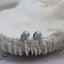 Clio Larimar Stud
