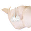 Baroque Pearl Earring