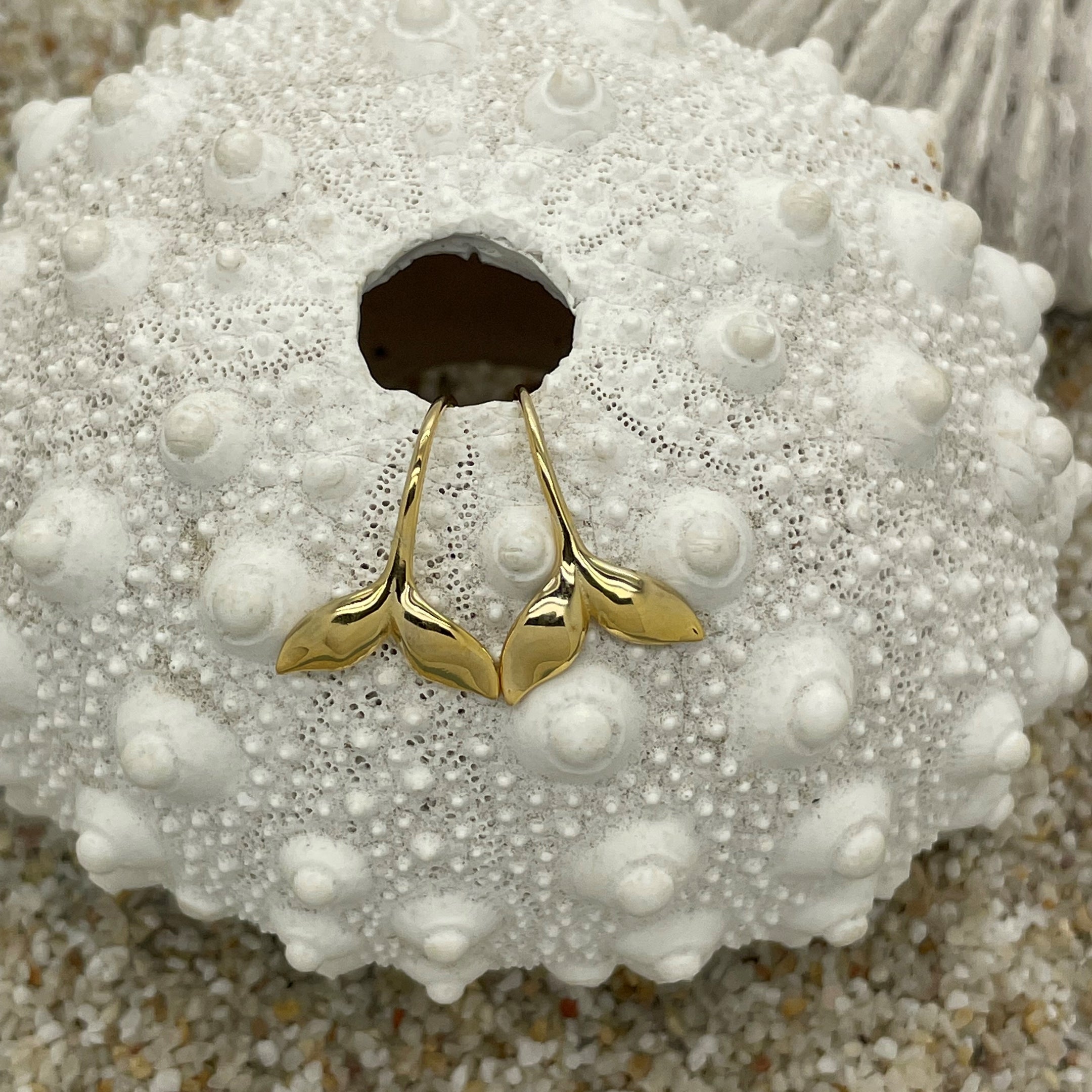 Whale Tail Hook Earrings Gold