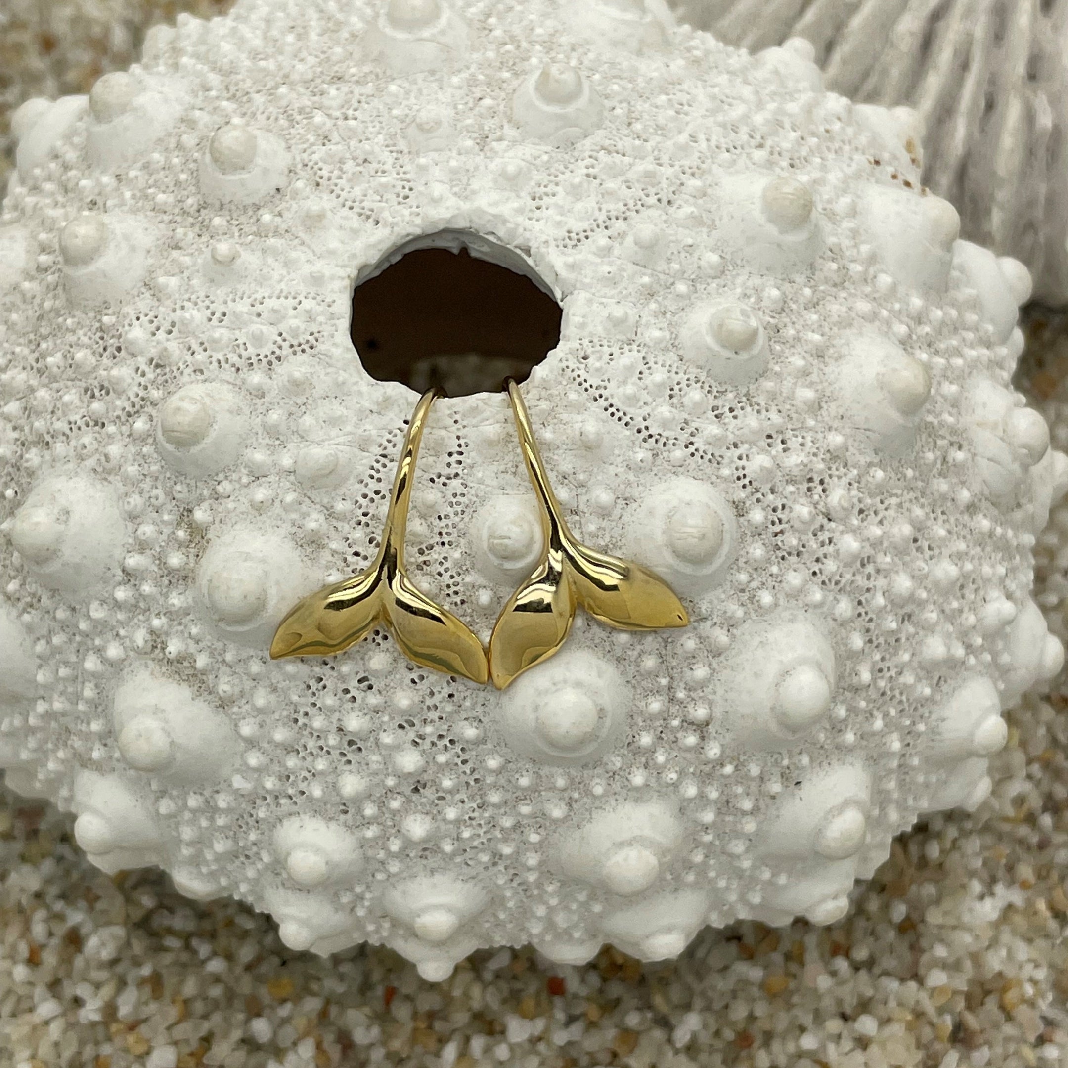 Whale Tail Hook Earrings Gold WHOLESALE
