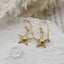 Starfish Gold Drop WHOLESALE