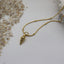 Tulip Shell Necklace Gold