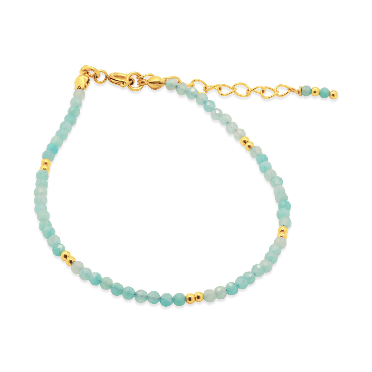 Elia Gold Anklet