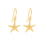 Starfish Gold Drop