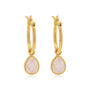 Tallulah Moonstone Gold Drops