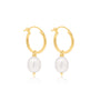 Tessa Freshwater Pearl Gold Hoops