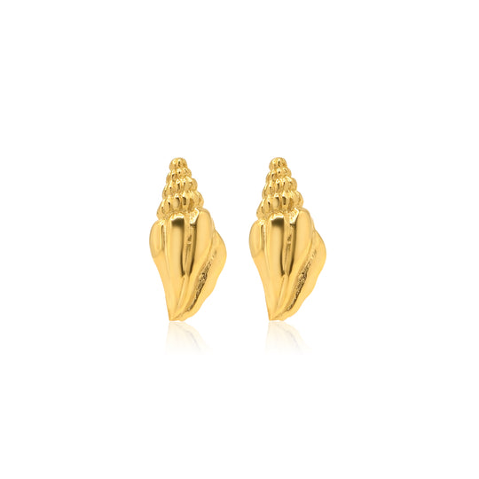 Seashell Studs Gold
