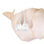 Baroque Pearl Earring WHOLESALE