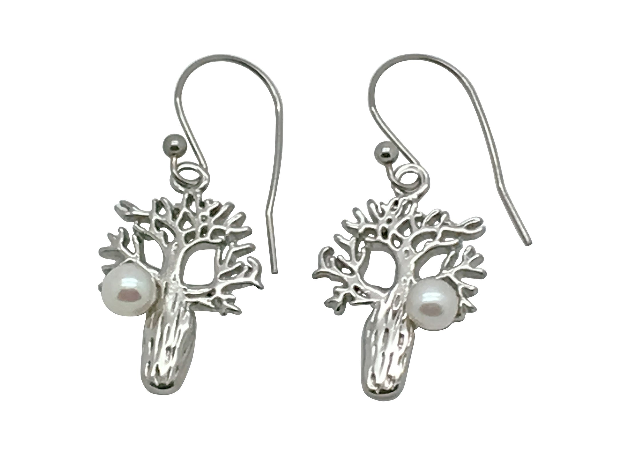 Boab Earrings With Freshwater Pearl