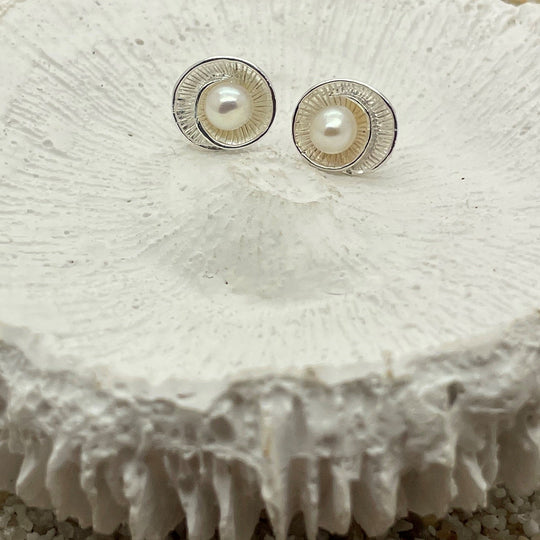Ammonite Pearl Stud WHOLESALE