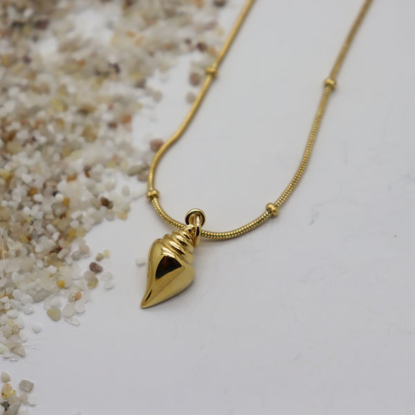 Nutmeg Shell Gold Necklace